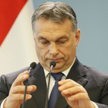 Maciejewski: Wystarczyło naśladować Orbána