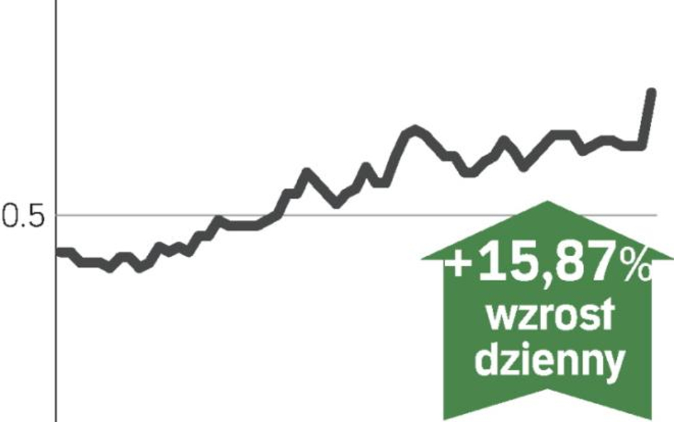 Synthos zyskał dzięki niezłym wynikom