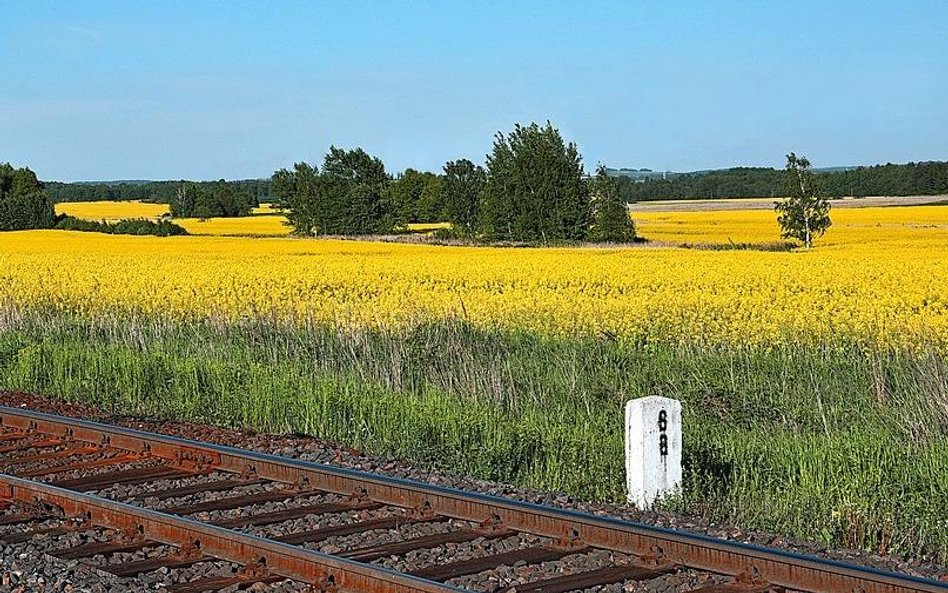 Z trzecim września nowy rozkład jazdy PKP