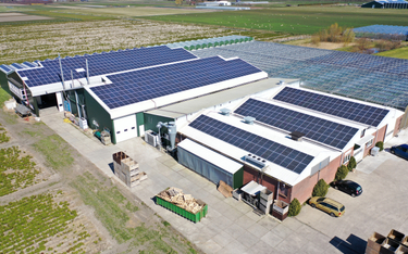 Słoneczna farma z mniejszym podatkiem od nieruchomości