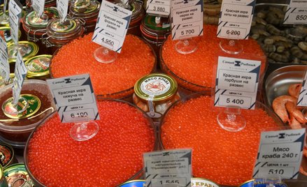 Rosja: najmniejszy dług państwa, potężny dług gospodarki