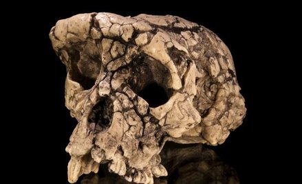 Neandertalczycy wyginęli przez dym z ognisk?