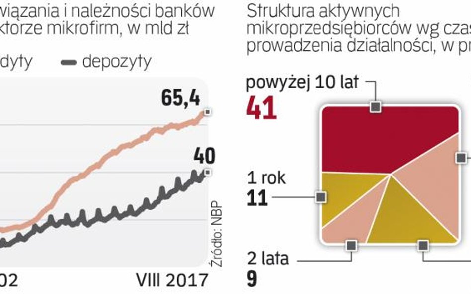 Finansowanie najmniejszych firm szybko rośnie