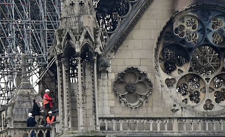 Szefowa AfD: Notre Dame płonie, nietolerancja rośnie