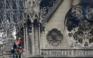Szefowa AfD: Notre Dame płonie, nietolerancja rośnie