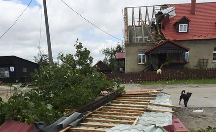 Energetycy walczą ze skutkami burz. Kolej bez utrudnień