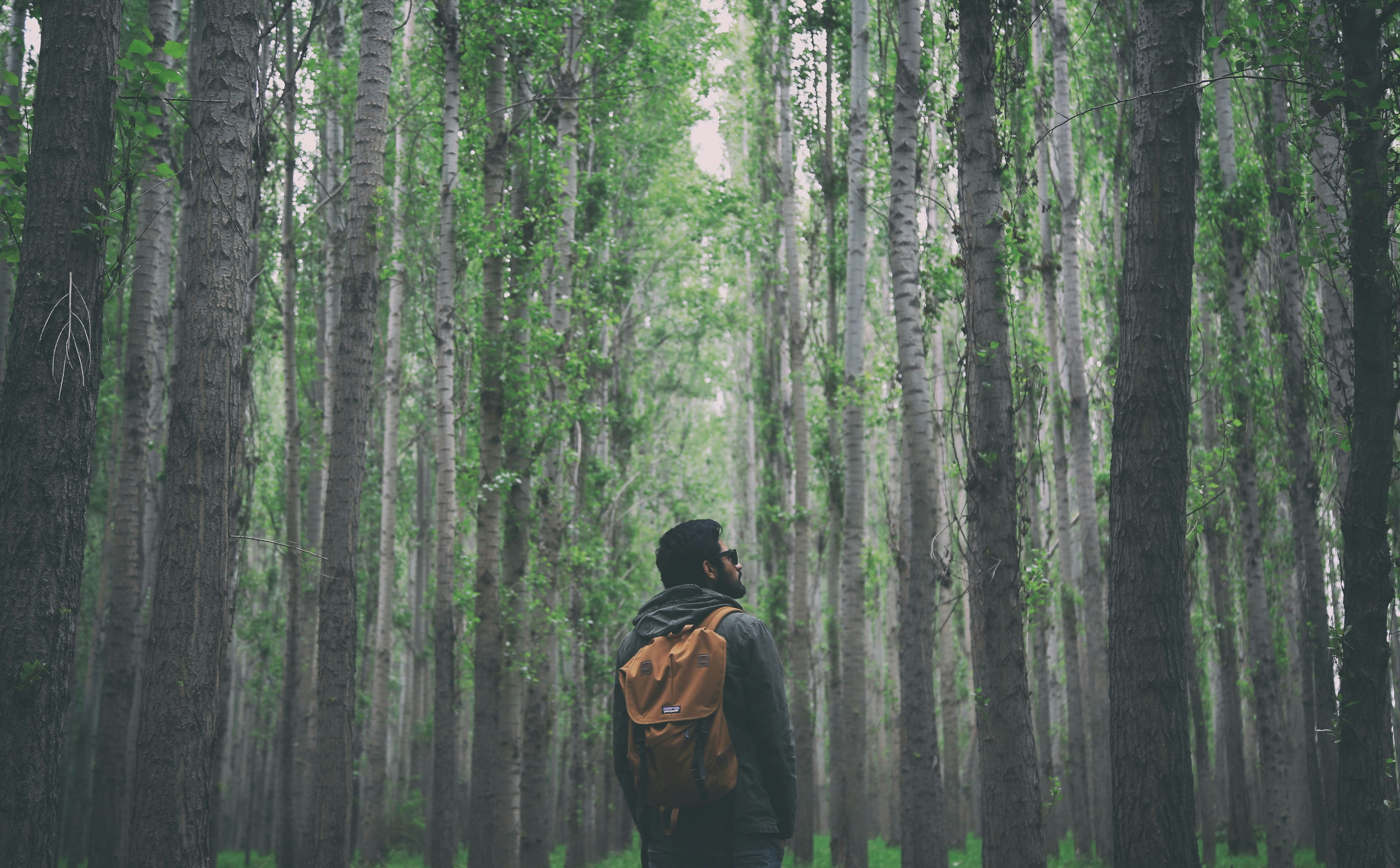 How has people's relation  with nature changed over the past 220 years? Results of the survey