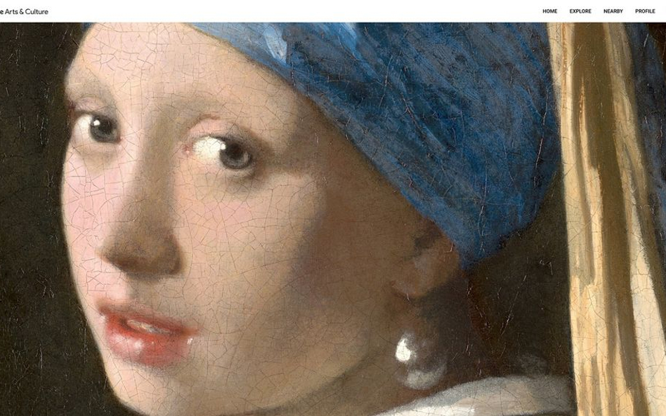 Vermeer wirtualny