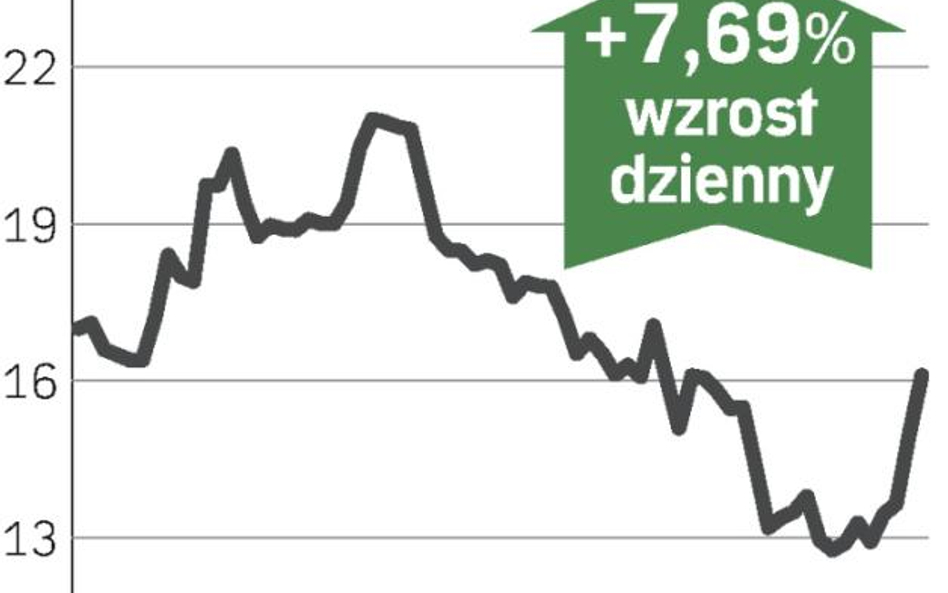 Firma bliżej nowego inwestora