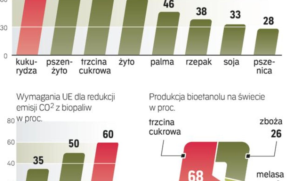 Unia zachęca przedsiębiorców do wykorzystania tych biopaliw, które najskuteczniej przyczyniają się d