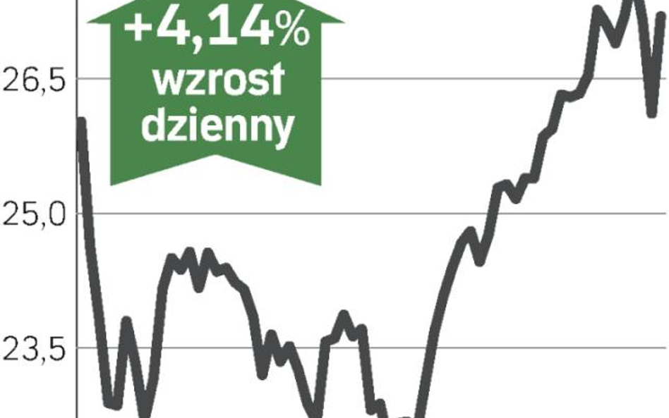 Wzrost mimo słabszych wyników