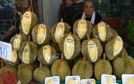 &#x2265;Owoc durianu to lokalny przysmak o intensywnym zapachu