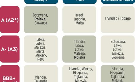 S&P nie musi mieć naśladowców