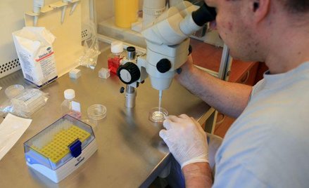 Najbardziej liberalne założenia uwzględniają projekty Małgorzaty Kidawy-Błońskiej (PO) i Marka Balic