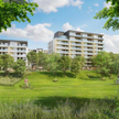Dom Development i sowita marża
