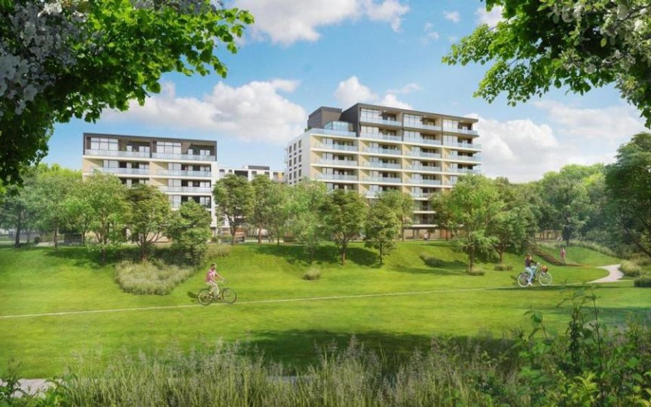 Dom Development i sowita marża