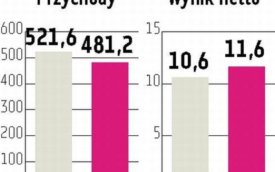 Zima nie zmroziła AmRestu