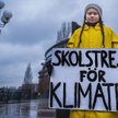 Dzieci na dorosłych krucjatach. Od Stefana z Cloyes do Grety Thurnberg
