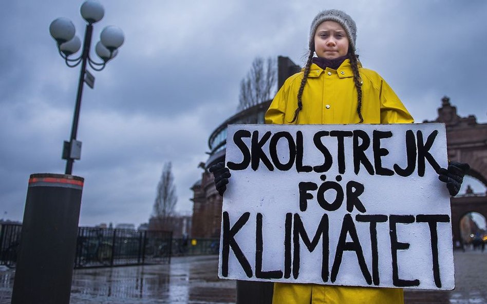 Dzieci na dorosłych krucjatach. Od Stefana z Cloyes do Grety Thurnberg