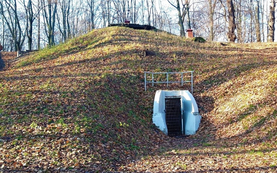 Koszt remontu Elizeum to niemal 5 milionów złotych
