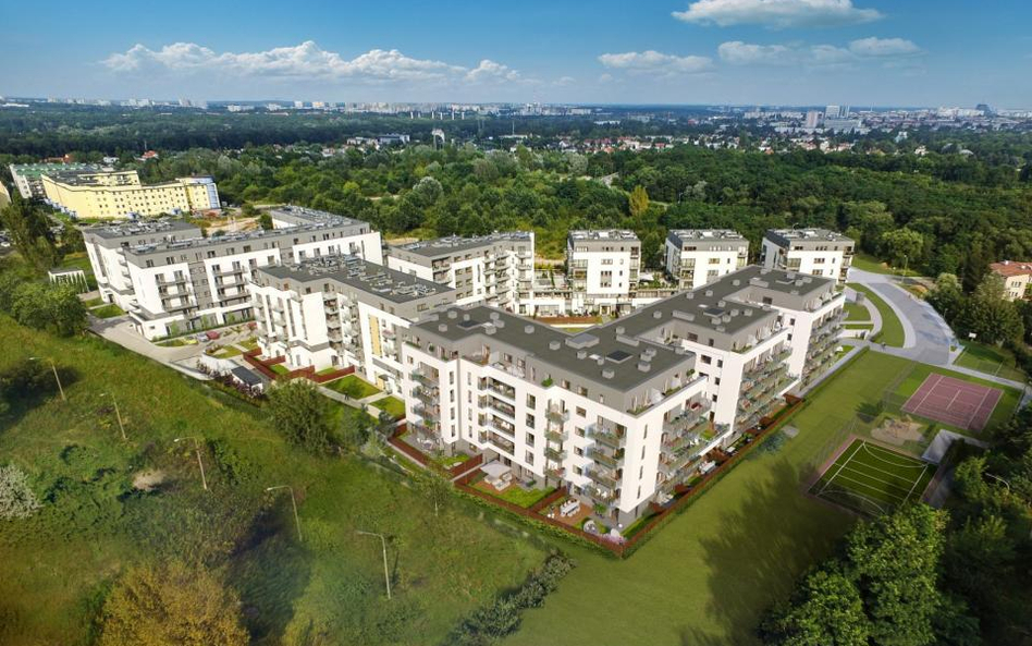 Rosną Nowe Ogrody