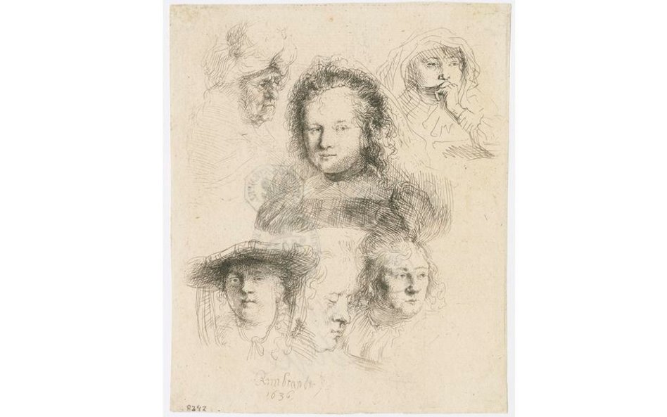 Studia głowy Saskii i innych