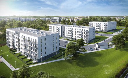 Nowa Jabłoniowa do wzięcia