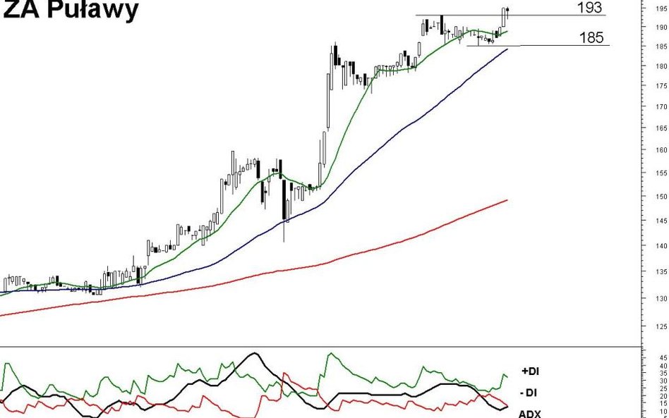 Z analizy technicznej kursu akcji ZA Puławy wynika, że cena powinna kontynuować trend wzrostowy