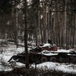 Daniłow: Moskwa zaczyna błagać o negocjacje przez pośredników