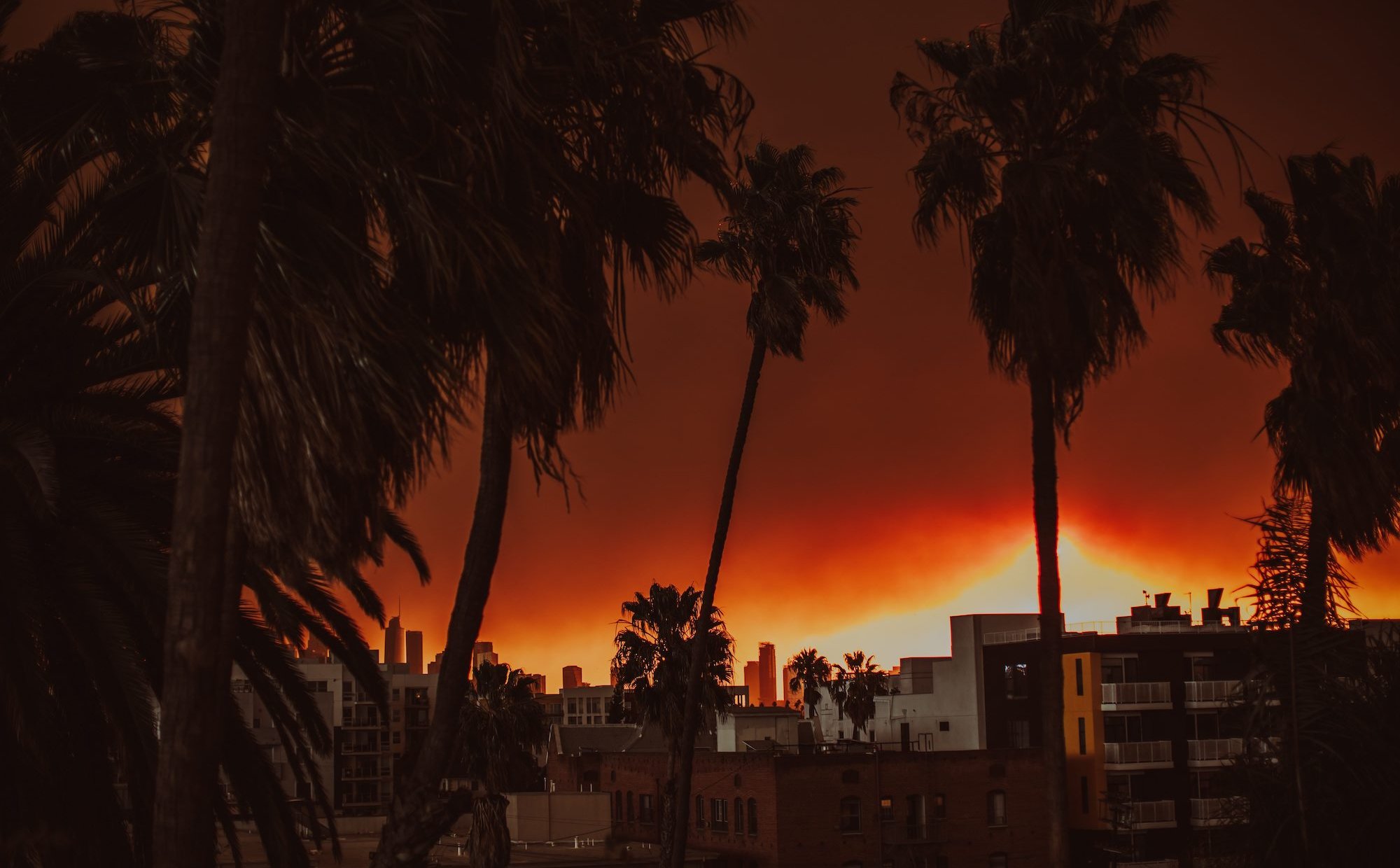 Zabójczy ryż i inne złe wieści. Co nas czeka w świecie zmian klimatu?