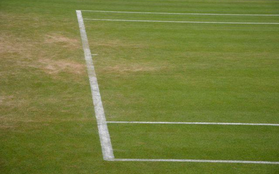 ATP Tour 2015: więcej trawy