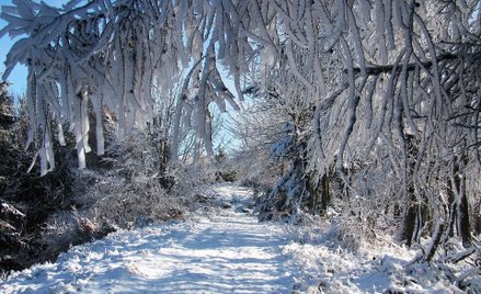 Bieszczady – zagrożenie lawinowe