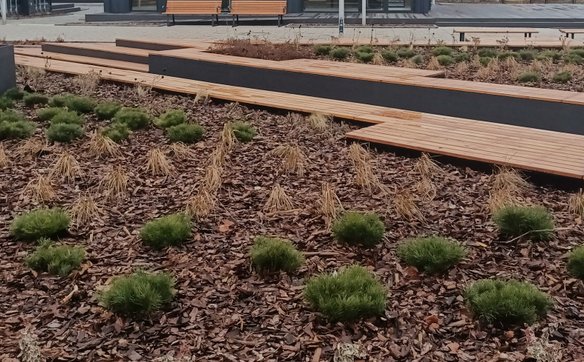 Pawilony, które miały być sercem odrodzonego centrum, od miesięcy stoją puste