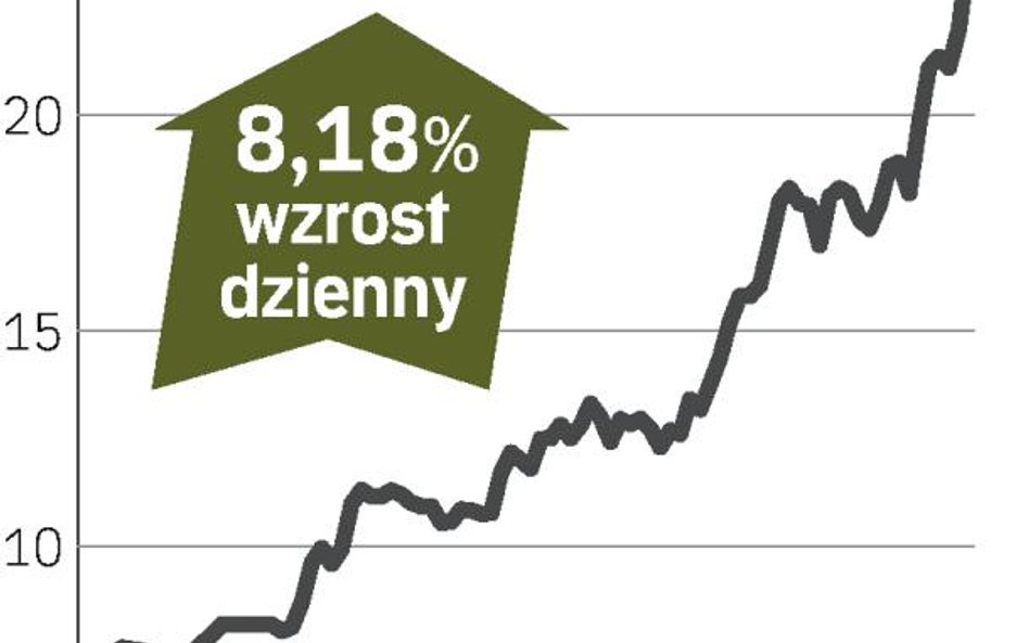 Eko Export – spółka, o której się mówi w Warszawie