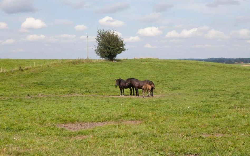 Ile za ziemię pod dom