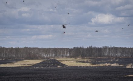 Płociński: Pożar nie tylko nad Biebrzą