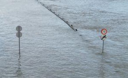 Jeśli złożysz pismo, fiskus może przyznać ulgę