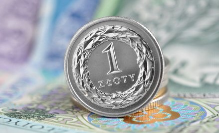 Stopy zostają rekordowo niskie. Czy złoty wciąż jest za mocny?