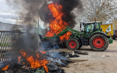 Nimes, Francja, 28 marca.  Protest francuskich rolników
