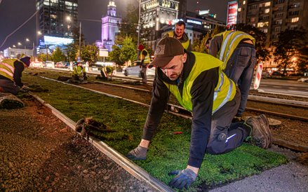 Wbrew pozormo praca przy rozkłądaniu mat z rozchodnika wymaga sporej precyzji