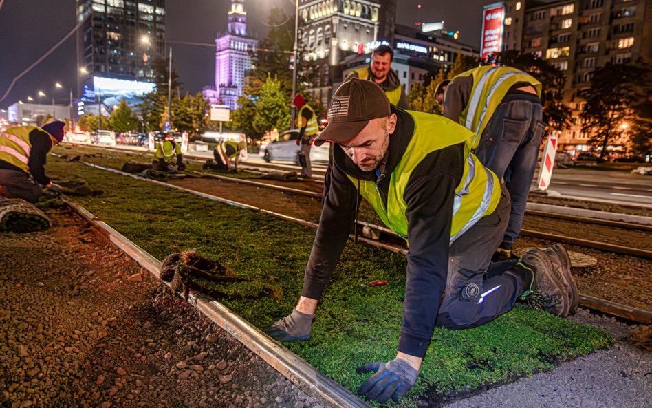 Wbrew pozormo praca przy rozkłądaniu mat z rozchodnika wymaga sporej precyzji
