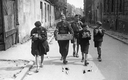 Szefowa berlińskiego oddziału Instytutu Pileckiego, koordynatorka, kuratorka, producentka i scenarzy