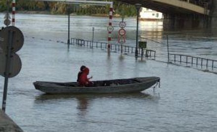 PIT: Jak rozliczyć piknik dla pracowników finansowany z zfśs