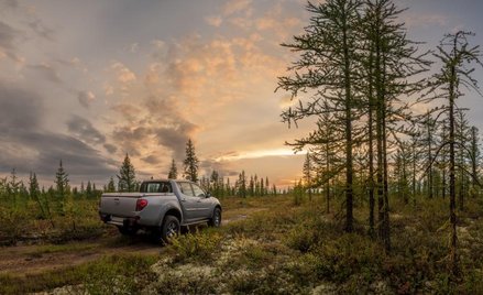 Czy sąd może skazać za jazdę pojazdem po drodze leśnej w stanie nietrzeźwości