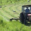 Rząd przyjął projekt PROW na lata 2014-2020