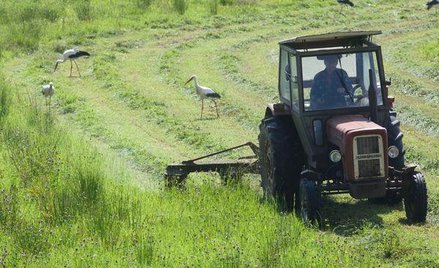 Brakuje 4,5 mld euro na rozwój obszarów wiejskich