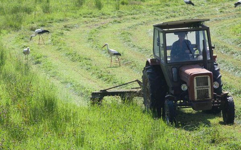 Brakuje 4,5 mld euro na rozwój obszarów wiejskich