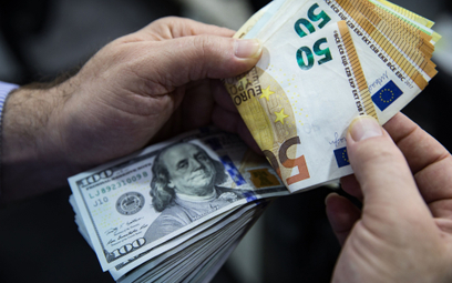 Euro i dolar to waluty do oszczędzania