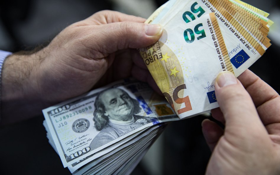 Czy wspólna europejska waluta zyska na sile wobec dolara?