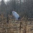 Tajemnica zasilania rządowego Tu-154M